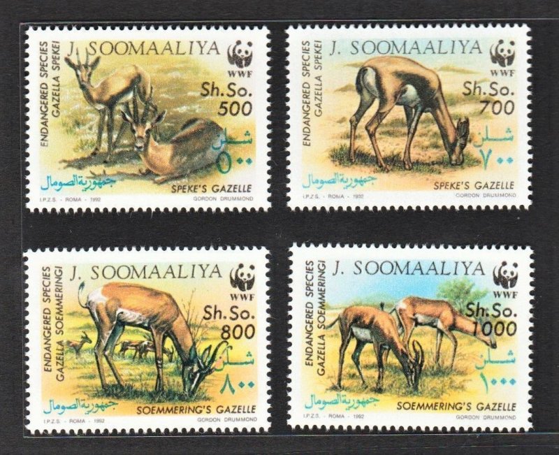 SOMALIA 1992 World Wildlife Fund & Local Animals (12v, 3 Cpt Sets) MNH CV$130