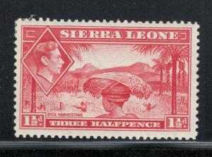 Sierra Leone 1938 King George VI 1 1/2p Scott # 175 MH