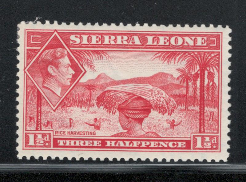 Sierra Leone 1938 King George VI 1 1/2p Scott # 175 MH