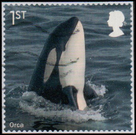 Great Britain 4137k - Used - 1st (85p) Orca (Killer Whale) (2021) (cv $2.95)