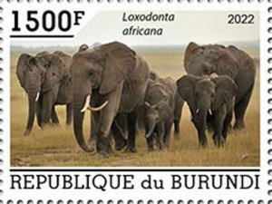 Burundi - 2022 African Bush Elephants - Stamp - BUR2201008a