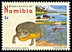 Namibia 1104, MNH, Biodiversity, Bullfrog