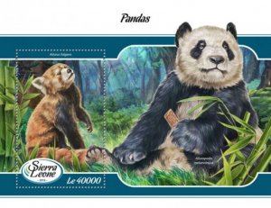 Sierra Leone - 2018 Panda Bears - Stamp Souvenir Sheet - SRL18009b