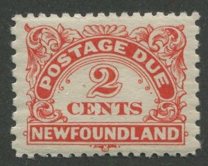 NEWFOUNDLAND J2a MINT NH 