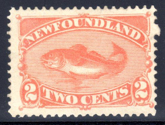 Newfoundland #48, mint hinged CV $32.50