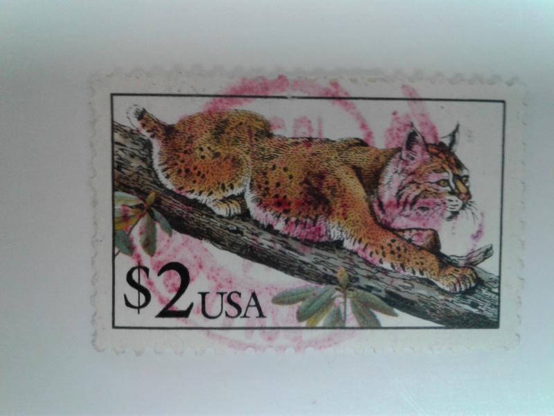 SCOTT # 2482 USED TIGER ON TREE  $ 2