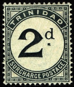 Trinidad #J11 Unused HR VF -  2d Postage Due Wmk 3 (1906)