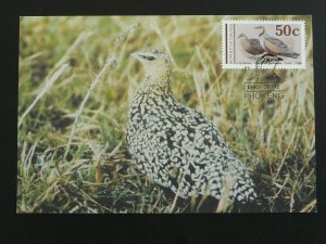 bird sandgrouse maximum card Bophuthatswana 86215