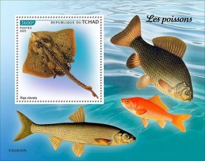 2023/04- CHAD - FISHES      1V    MNH **