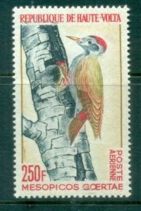 Upper Volta 1965 Birds, Woodpecker MLH