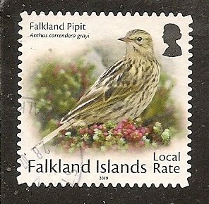 Falkland Islands    Scott 1200b   Bird   Used