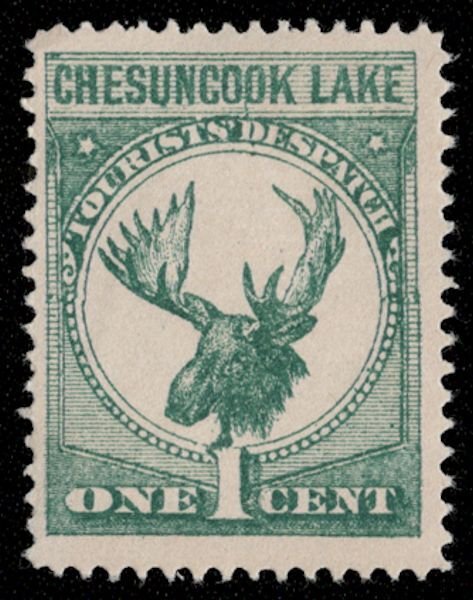 US #LOCAL Chesuncook LAKE, tourist stamp, VF mint no gum, fresh color, we are...