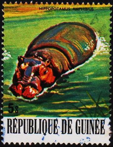 Guinea. 1977 5s  S.G.963 Fine Used