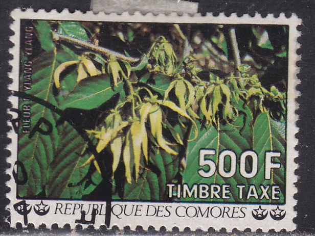 Comoro Islands J17 Flowers 1977