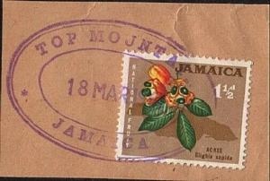 JAMAICA 1966-67 4 Temporary rubber stamps on pieces........................62742