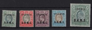 Somaliland 1904 OHMS ½a -1r set of 5 ovpt specimen fine mint sgO10-5 cat £160