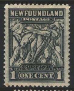 Newfoundland Sc#253 MH