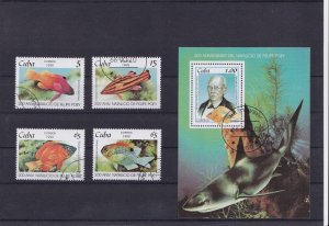 SA19d Caribbean Island 1999 Fishes used stamps + minisheet