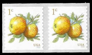 PCBstamps   US #5037 Coil Pair 2c(2x1c)Apples, MNH, (29)