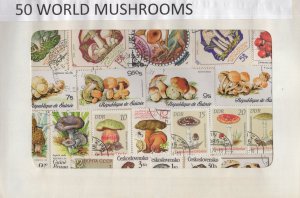 A Nice Selection Of 50 All Different Topicals. Mushrooms.   #02 TOP58