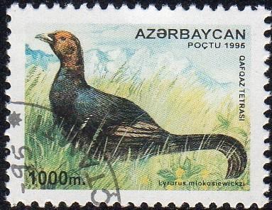 Azerbaijan 545 - Cto - 1000m Caucasian Black Grouse (Dark) (1995) (cv $3.00) (2)