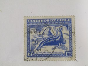 Chile 254f