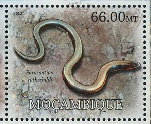 Snakes Stamp Aspidites Ramsayi Coluber Constrictor Priapus S/S MNH #5754-5765