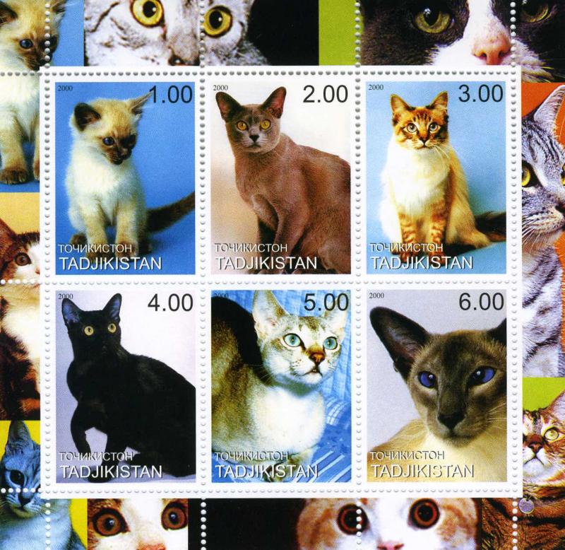 Tajikistan 2000 DOMESTIC CATS Sheet (6) Perforated Mint (NH)