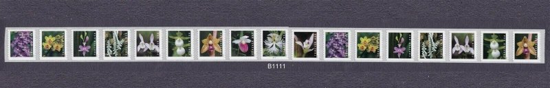 PNC17 55c Wild Orchids B1111 US 5435-5444, 5444a SCOTT Order FOLDED Mailed Flat