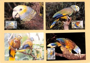 St. Vincent WWF World Wild Fund for Nature maxicards parrot birds