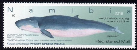 Namibia - 2019 Whales Registered Mail Reprint MNH**