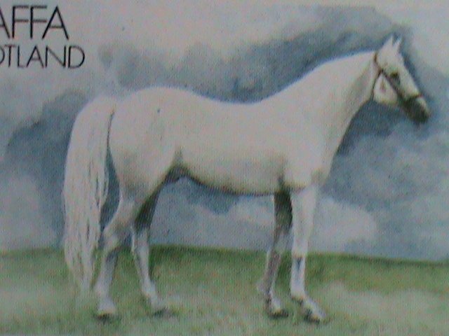 ​SCOTLAND-STAFFA STAMP-WORLD RARE FAMOUS HORSES MNH FULL-SHEET VERY FINE
