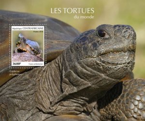 C A R - 2019 - Tortoises/Turtles - Perf Souv Sheet - Mint Never Hinged