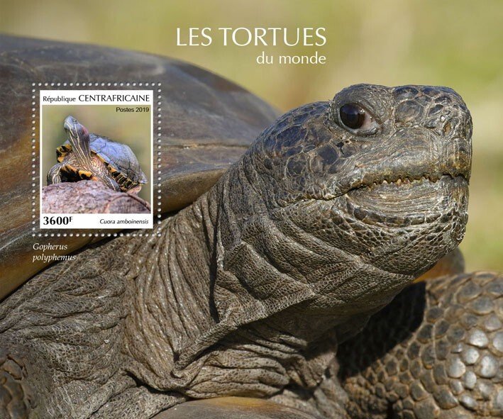 C A R - 2019 - Tortoises/Turtles - Perf Souv Sheet - Mint Never Hinged