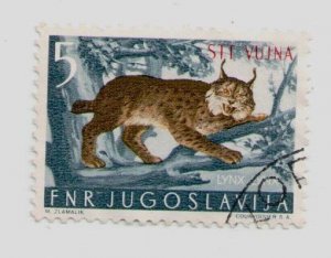 1954 Yugoslavia Trieste Zone B #94 stamp Eurasian Lynx, Animals, Wild Cats, USED