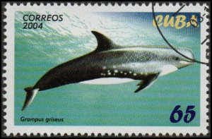 Cuba 4428 - Cto - 65c Risso's Dolphin (2004) (cv $0.90)