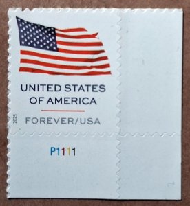 United States #6016 (73c) U.S. Flag sheet stamp MNH plate #P1111 (2025)