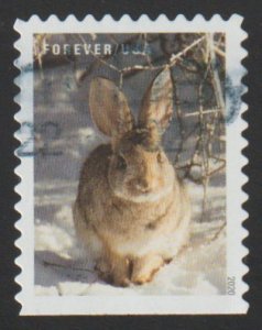 SC# 5539 - (55c) - Winter Scenes: Rabbit 8/10 - Used Single Off Paper