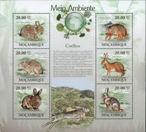 Rabbits Stamp Oryctolagus Cuniculus Lepus Capensis S/S MNH #3548-3553