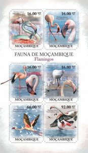Mozambique 2011 MNH - Flamingos. Y&T 4094-4099, Mi 4889-4894, Scott 2360