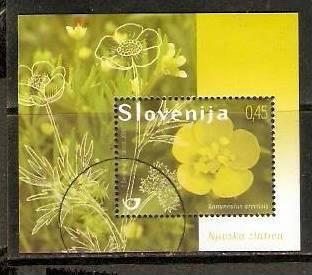 Slovenia 2009 Cornbuttercup Plant tree Flower M/s  SPECIMEN MNH # 2472