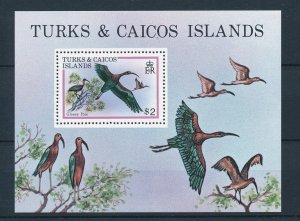 [25877] Turks & Caicos Islands 1980 �Birds vogels oiseaux �uccelli Sheet MNH