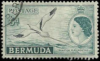 Bermuda - 152 - Used - SCV-0.75