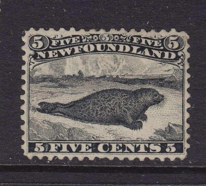 Newfoundland Scott # 26 VF-OG lightly hinged scv $ 350 ! see pic !