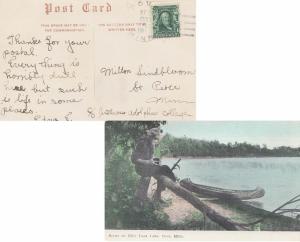 United States Minnesota Cove c1908 doane 2/2  1893-1916  PPC (Scene on Mille ...