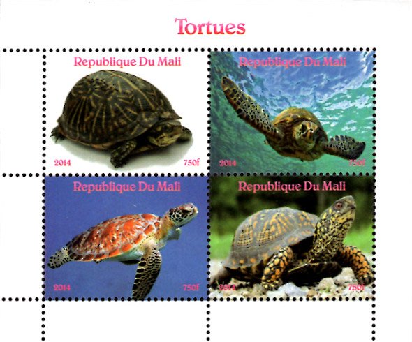 Mali 2014 Turtle Tortoise Reptiles 4v Mint Souvenir Sheet S/S. (#05)