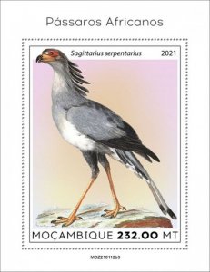 Mozambique - 2021 African Birds, Secretarybird - Souvenir Sheet - MOZ210112b3