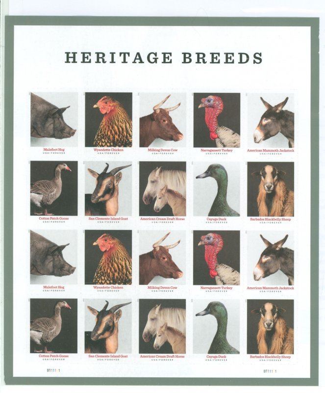 United States #5592b Mint (NH) Souvenir Sheet (Animals)