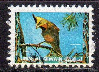 Umm al Qiwain (Unlisted) - CTO - Bird