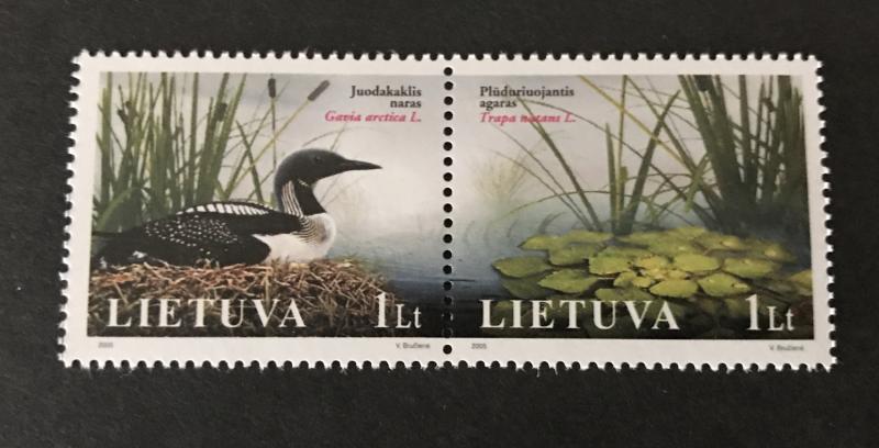 Lithuania 2005 #798 MNH SCV $1.75